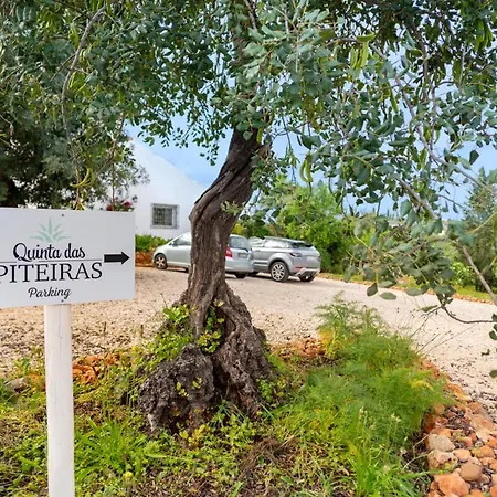 Quinta Piteiras-turismo Rural