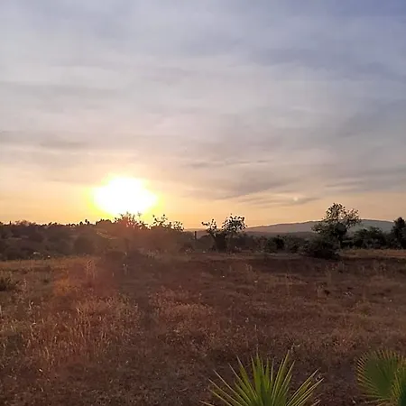 Quinta Piteiras-turismo Rural